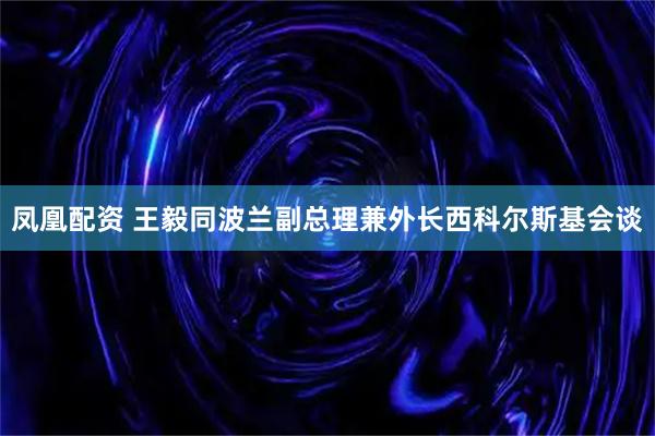 凤凰配资 王毅同波兰副总理兼外长西科尔斯基会谈