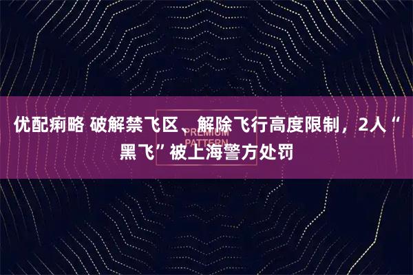 优配痢略 破解禁飞区、解除飞行高度限制，2人“黑飞”被上海警方处罚