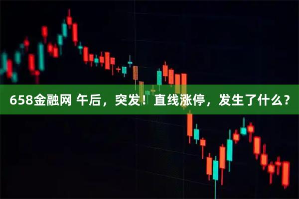 658金融网 午后，突发！直线涨停，发生了什么？