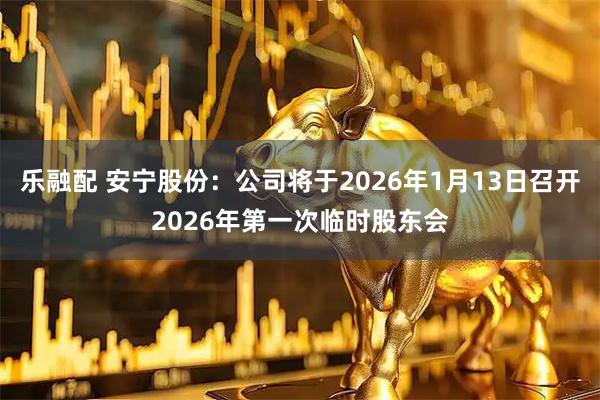 乐融配 安宁股份：公司将于2026年1月13日召开2026年第一次临时股东会