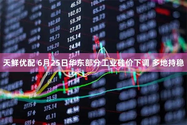 天鲜优配 6月25日华东部分工业硅价下调 多地持稳